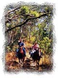 Horseriding trails