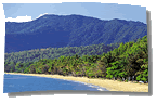 Not only can you visit the daintree rainforests by day but you can visit by night